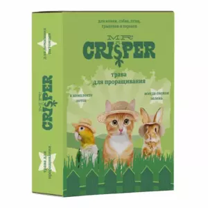 MR.Crisper Трава для проращивания для кошек и других домашних животных