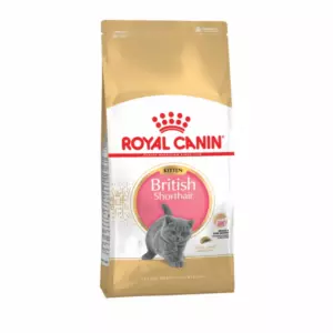 Royal Canin British Shorthair Kitten сухой корм для британских короткошерстных котят с птицей