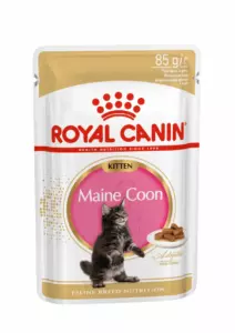 Royal Canin Maine Coon Kitten влажный корм для котят породы мейн-кун до 15 месяцев, кусочки в соусе
