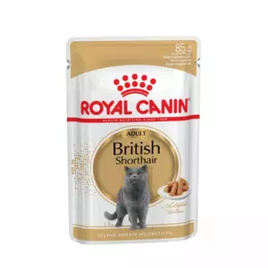 Royal Canin British Shorthair Adult влажный корм для взрослых британских короткошерстных кошек, кусочки в соусе