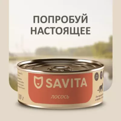 SAVITA консервы для кошек и котят «Лосось» класса холистик беззерновые