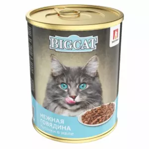 Зоогурман BIG CAT Влажный корм для взрослых кошек с говядиной, кусочки в желе