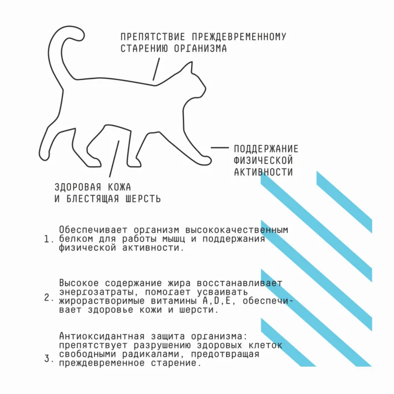 Изображение корма 4