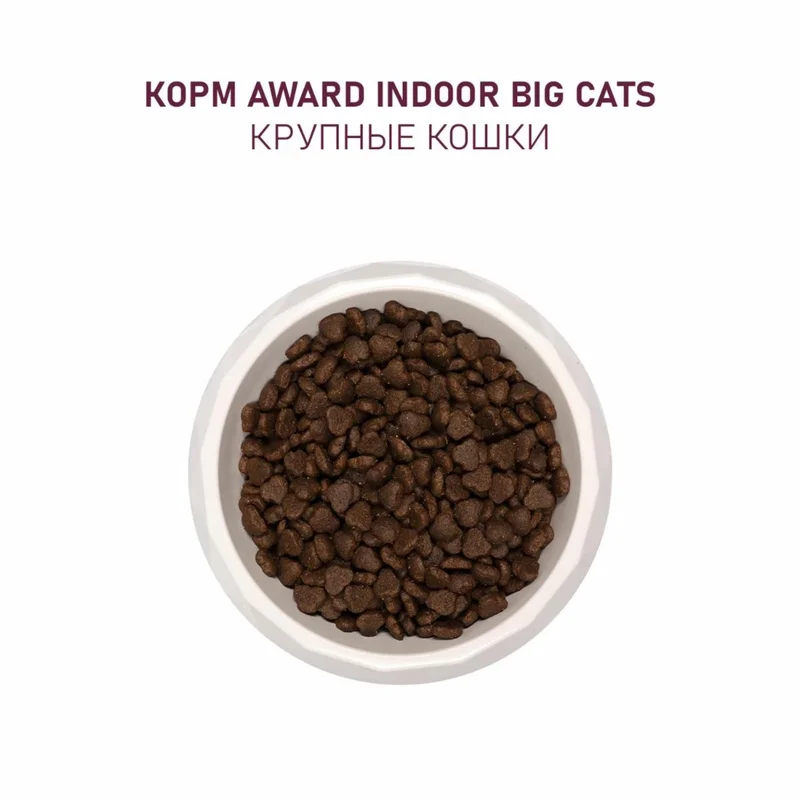 Изображение корма 6