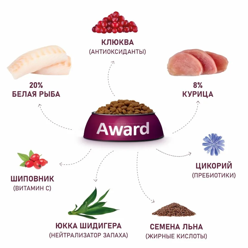 Изображение корма 4