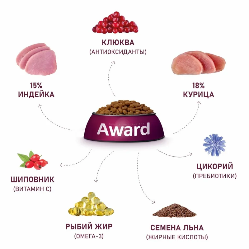 Изображение корма 4