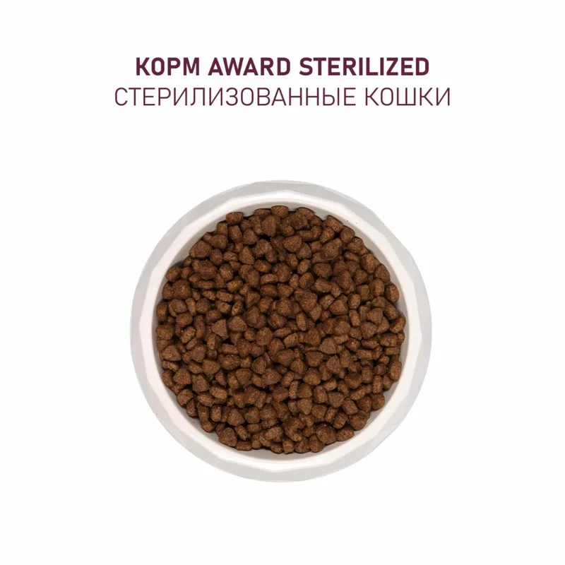 Изображение корма 6