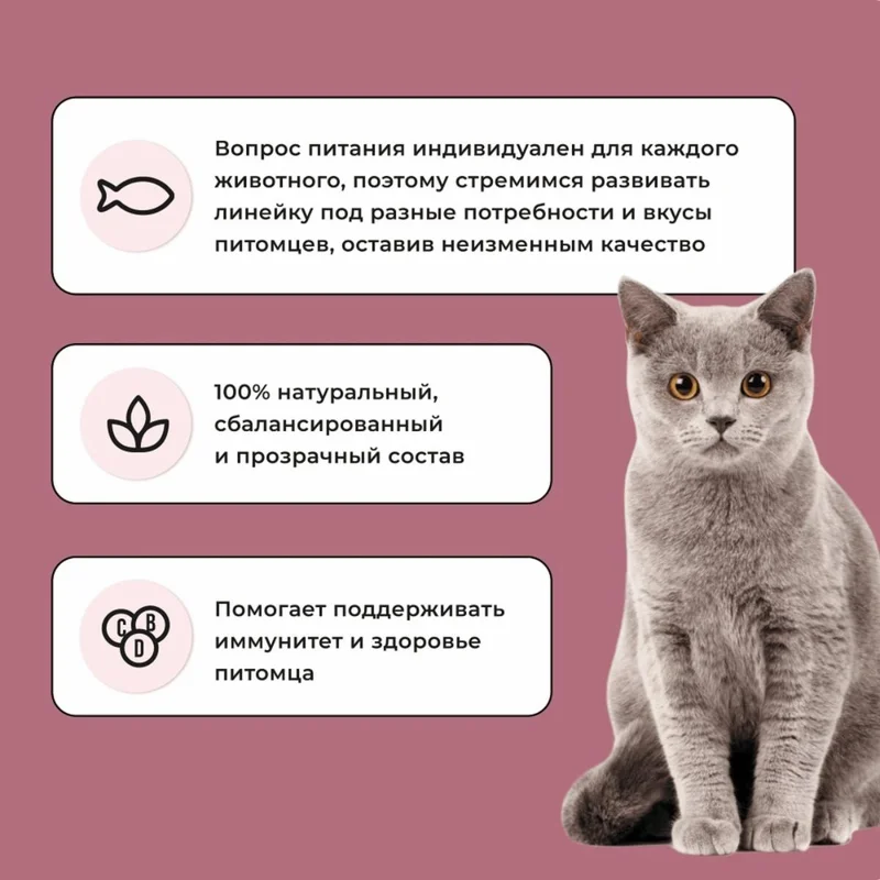 Изображение корма 2