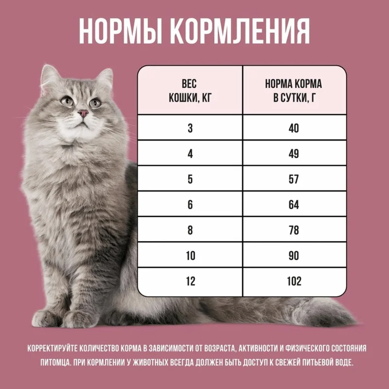 Изображение корма 5