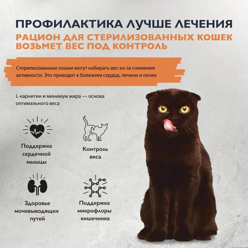 Изображение корма 2