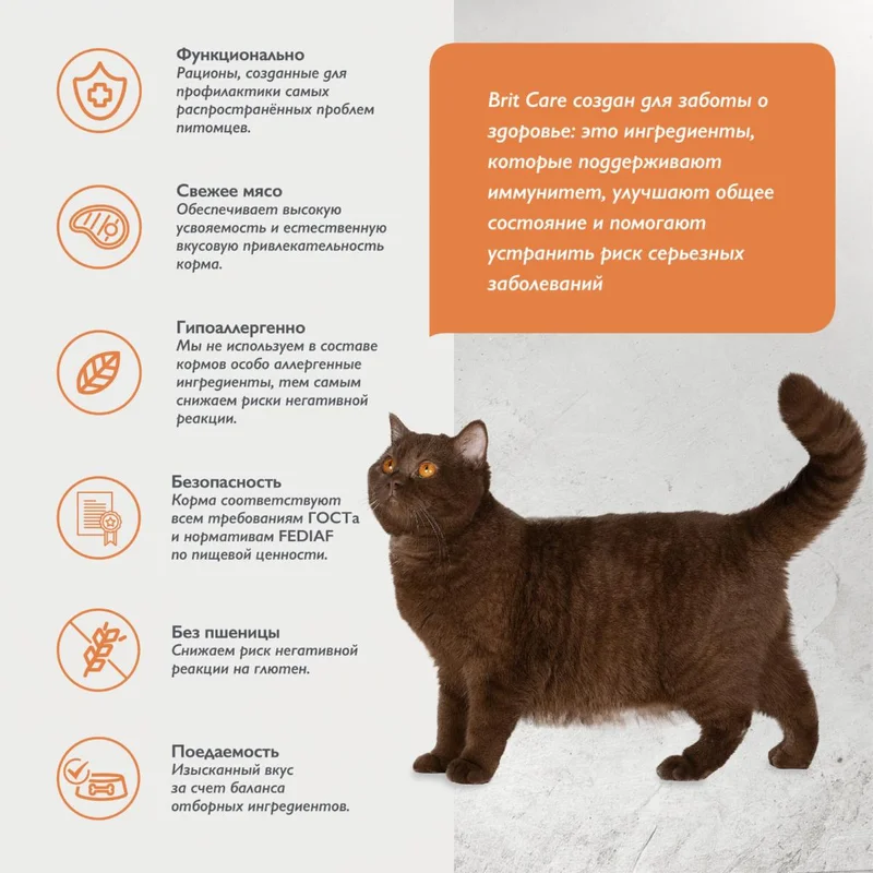 Изображение корма 3