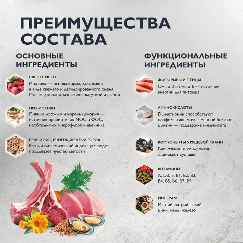 Изображение корма 4