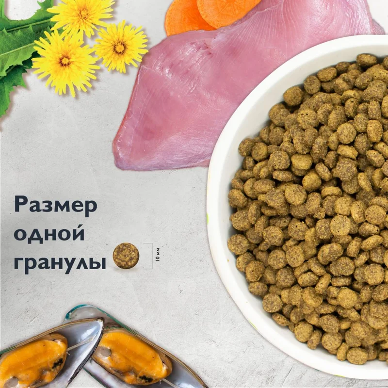 Изображение корма 6