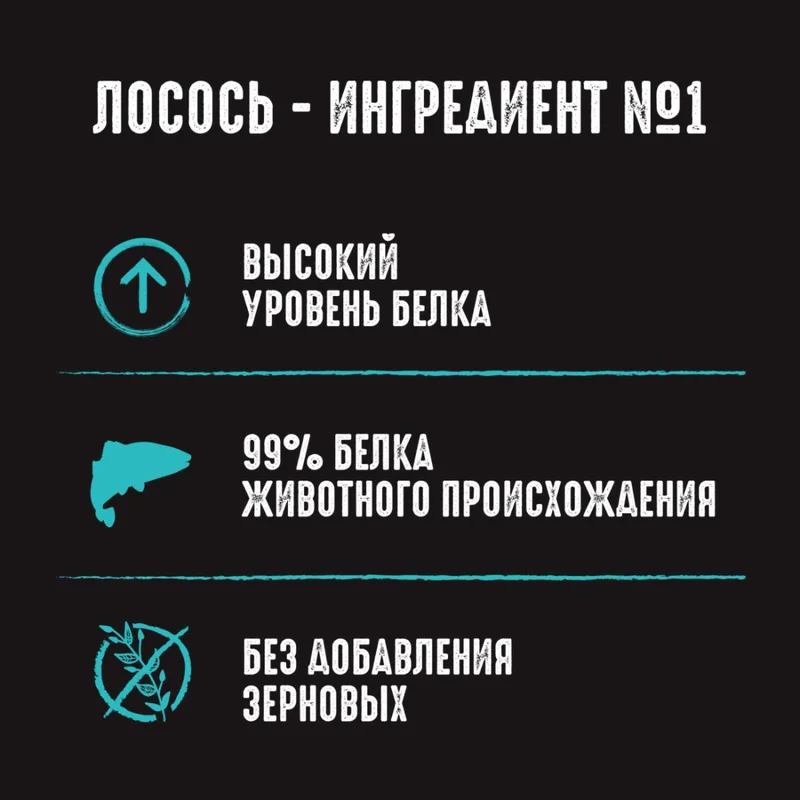 Изображение корма 2
