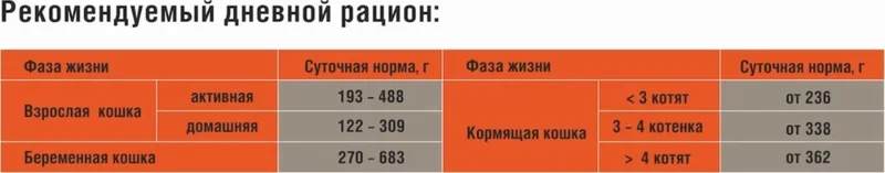 Изображение корма 5
