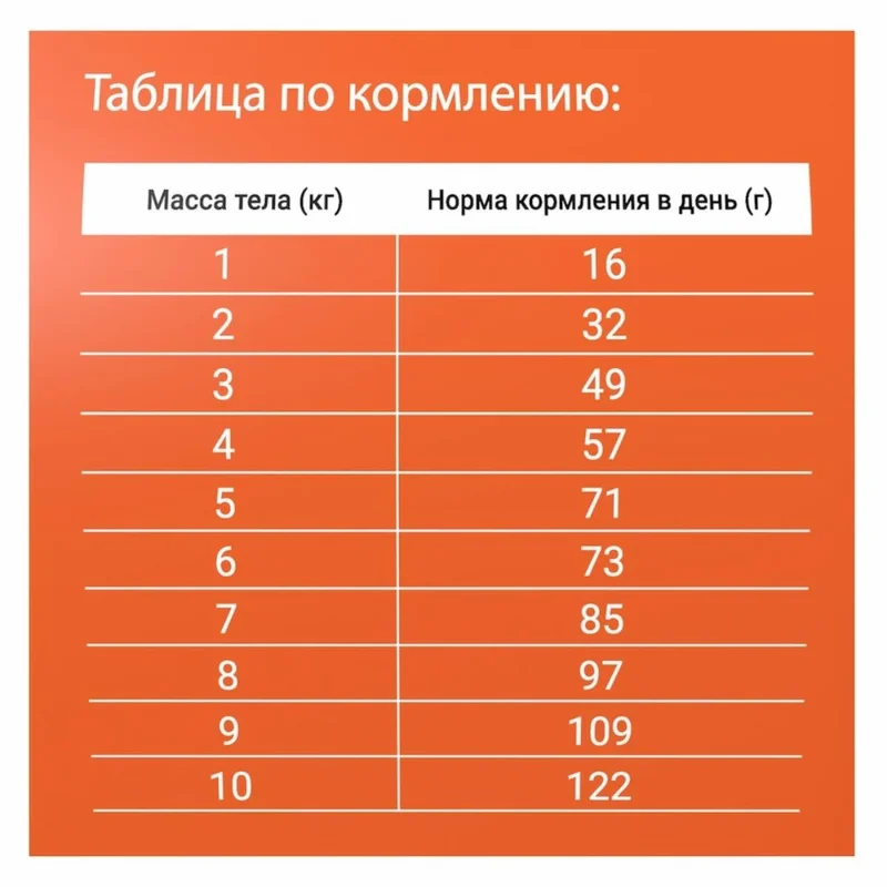 Изображение корма 2