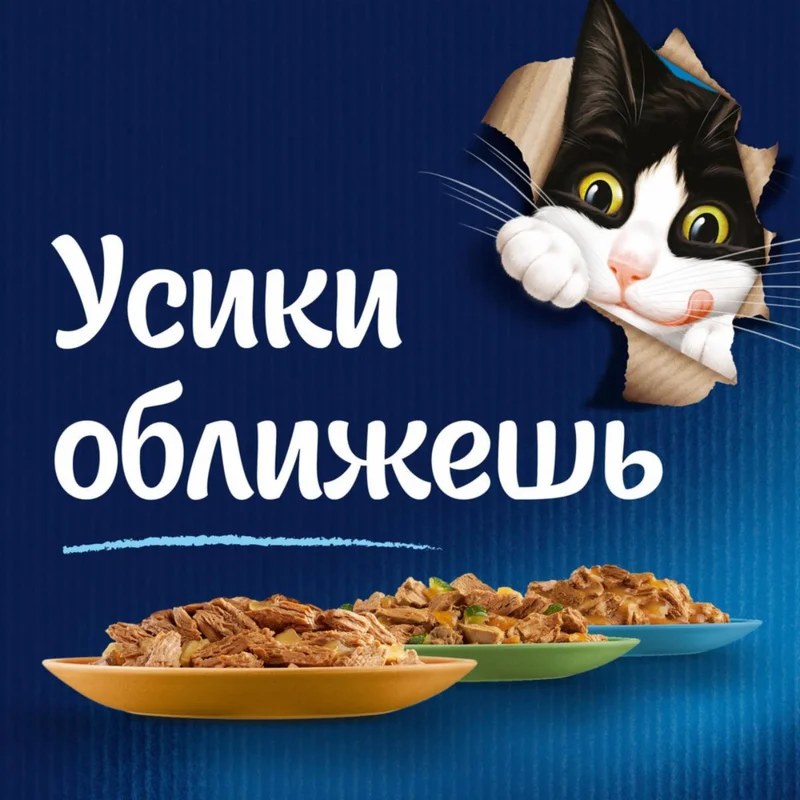 Изображение корма 3