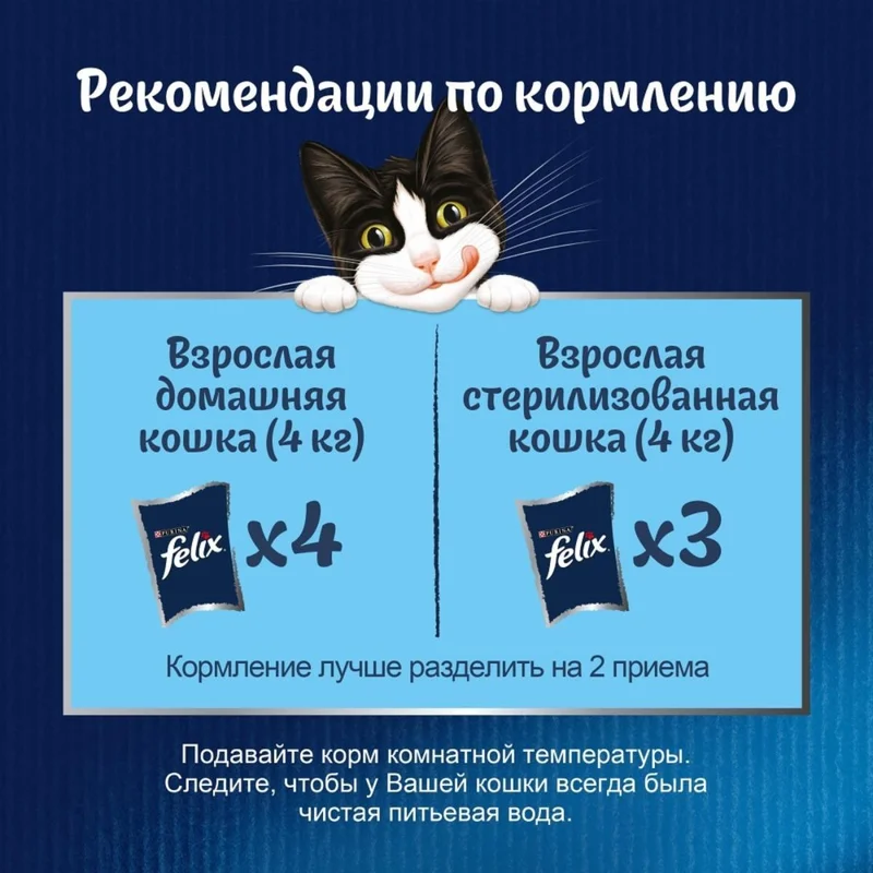Изображение корма 6