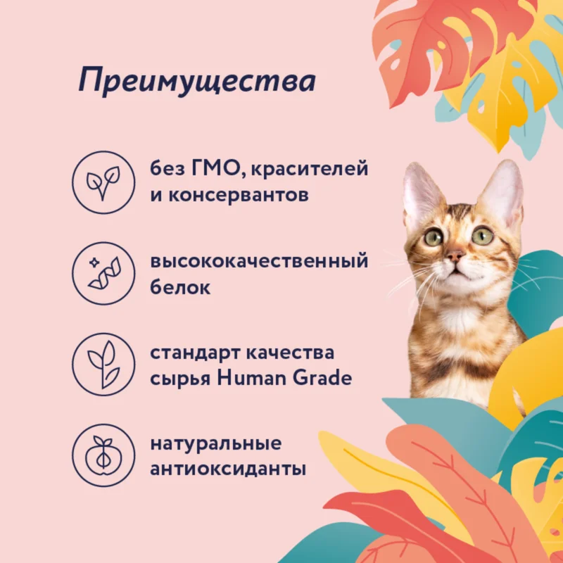 Изображение корма 2