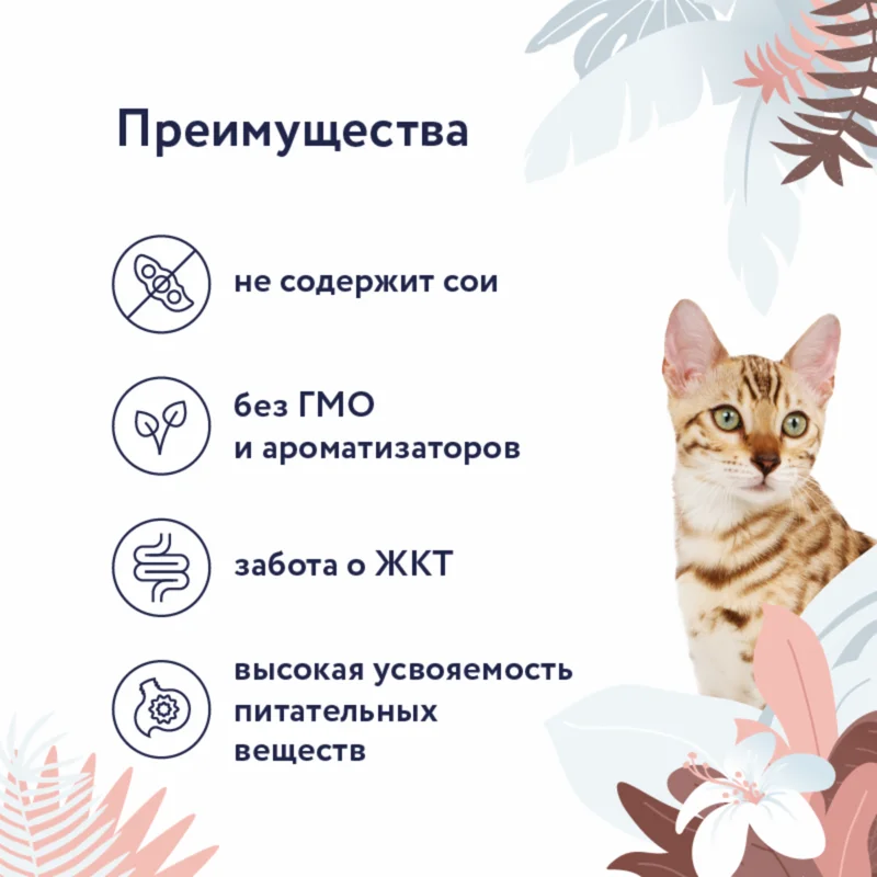 Изображение корма 2