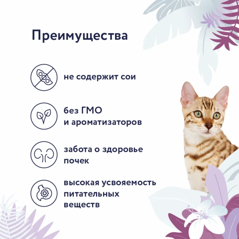 Изображение корма 2