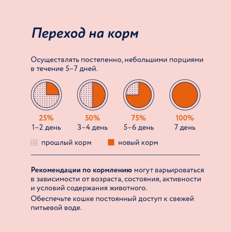 Изображение корма 6