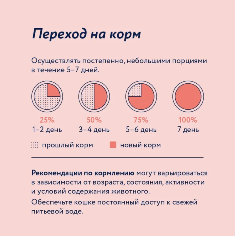 Изображение корма 6