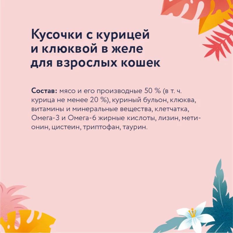 Изображение корма 4