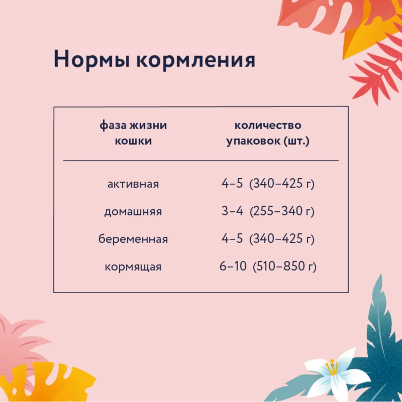 Изображение корма 6