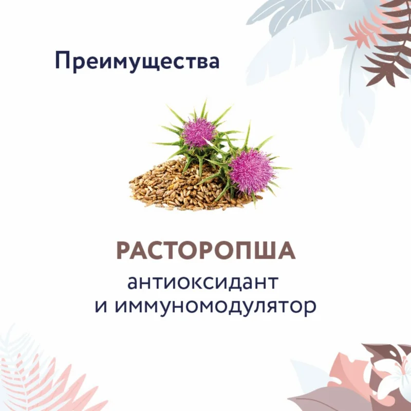 Изображение корма 3