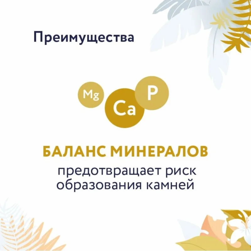 Изображение корма 3