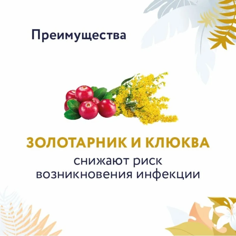 Изображение корма 5