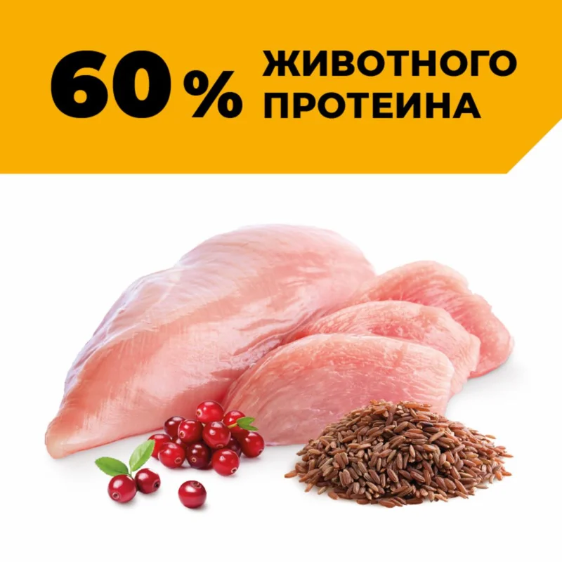 Изображение корма 4