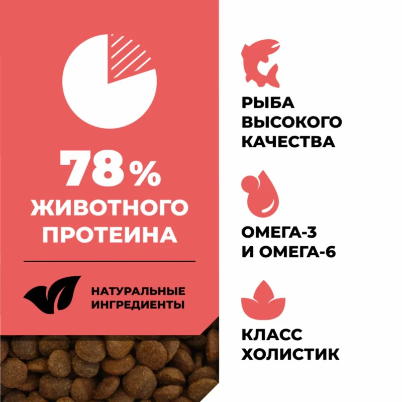 Изображение корма 1