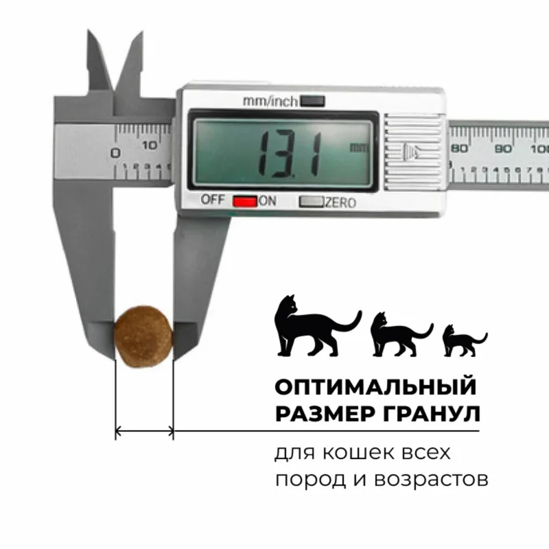 Изображение корма 2