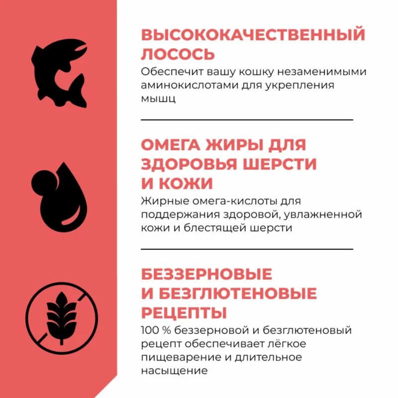 Изображение корма 5