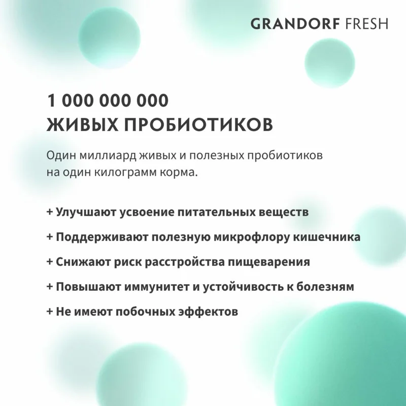 Изображение корма 6