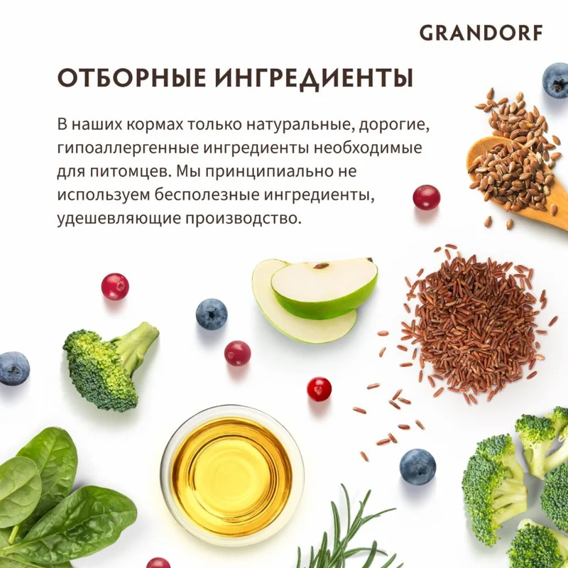 Изображение корма 6