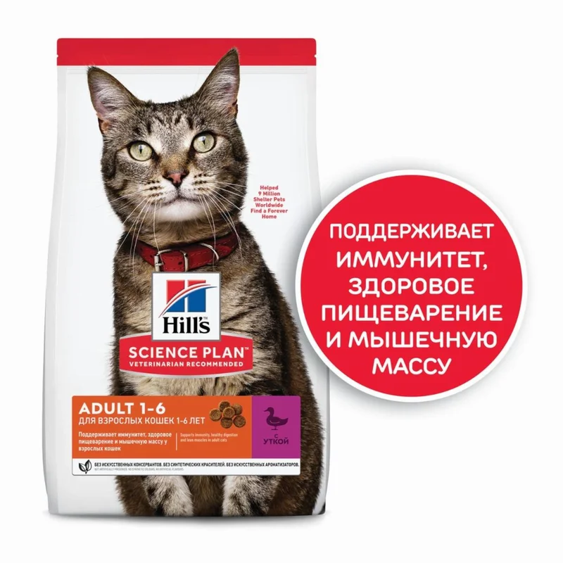 Изображение корма 1