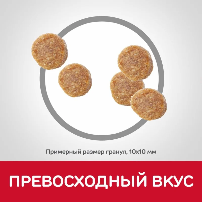 Изображение корма 5