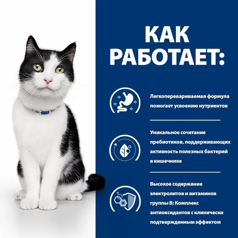 Изображение корма 3