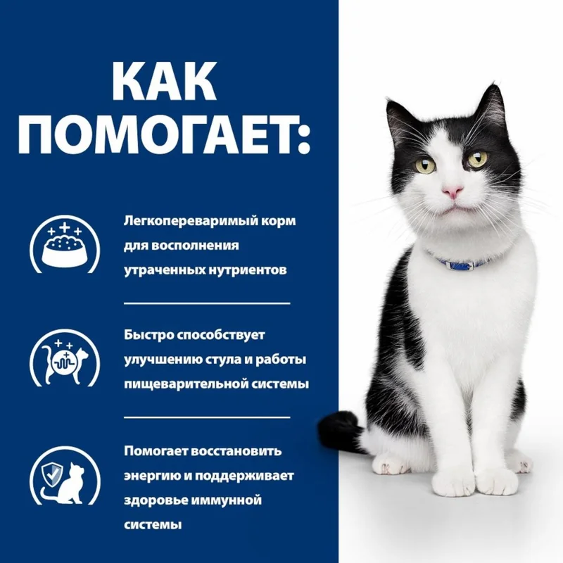 Изображение корма 5