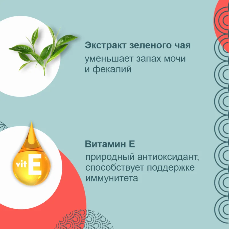 Изображение корма 2
