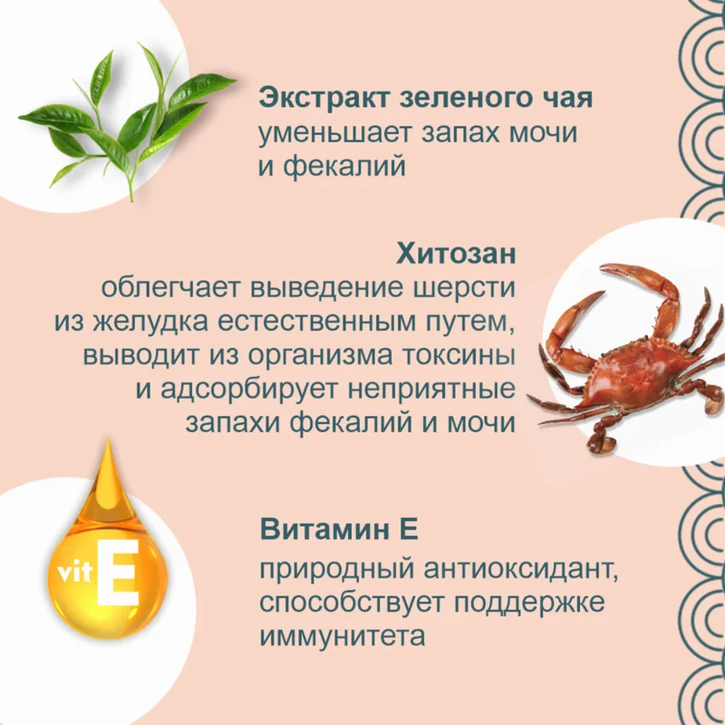 Изображение корма 1
