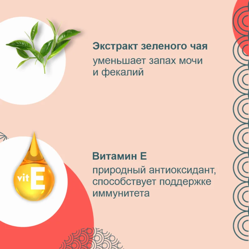 Изображение корма 2