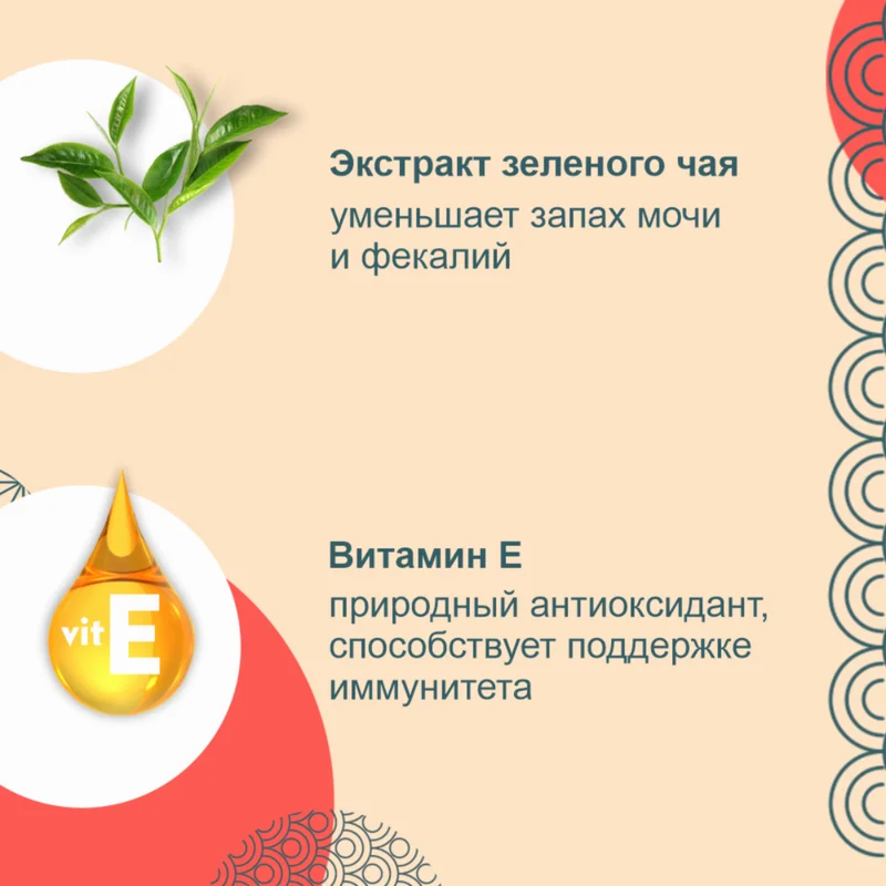 Изображение корма 2