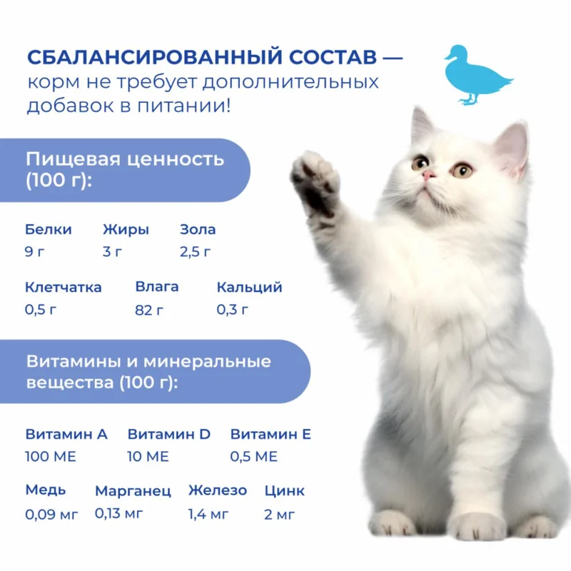 Изображение корма 4