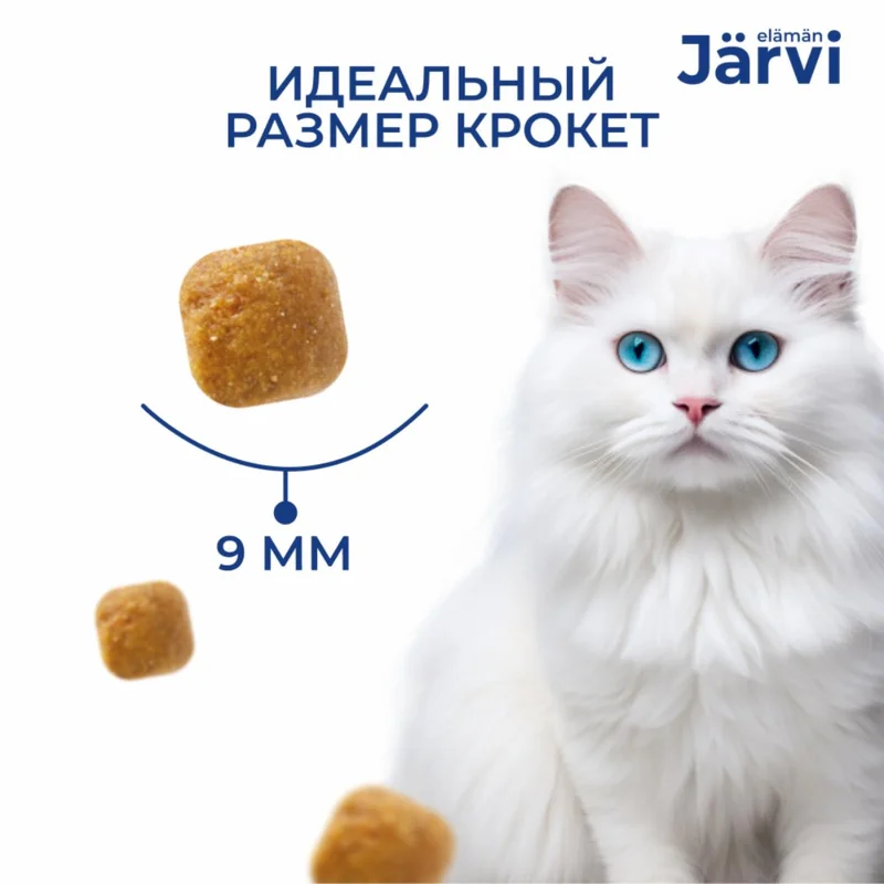 Изображение корма 5