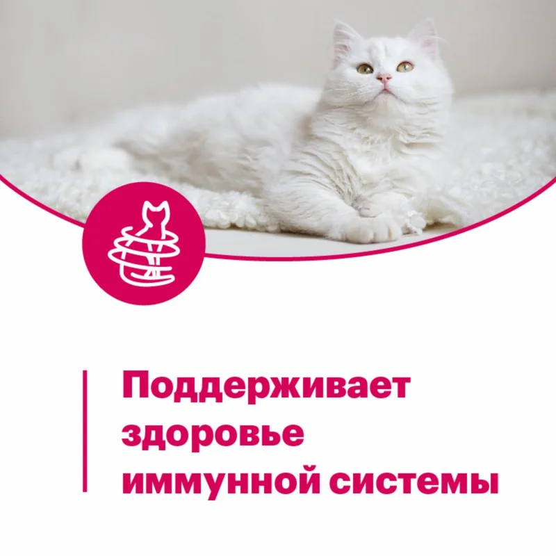 Изображение корма 6