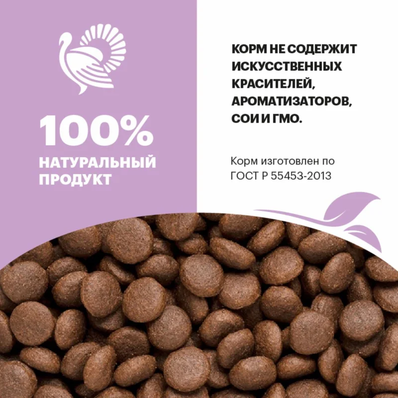 Изображение корма 2